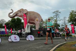 BIB: 
                            <button type="button" onclick="openModal(26528926)" class="btn btn-primary btn-sm float-right btn-popup" data-toggle="modal" data-target=".modal-high-quality">
                        <i class="fas fa-shopping-cart"></i> Add to Cart
                    </button>
                                            <button type="button" onclick="isThisMe(26528926, true)" class="btn btn-success btn-sm float-right btn-popup btn-isme hidden" data-toggle="tooltip" data-placement="bottom" title="นี่คือรูปของคุณใช่ไหม คลิกที่นี่เพื่อเอาเข้าอัลบั้ม">
                        <i class="fas fa-plus"></i> Add to album
                    </button>
                    <button type="button" onclick="isThisMe(26528926, false)" class="btn btn-warning btn-sm float-right btn-popup btn-isnotme hidden">
                        <i class="fas fa-ban"></i> Remove from album
                    </button>